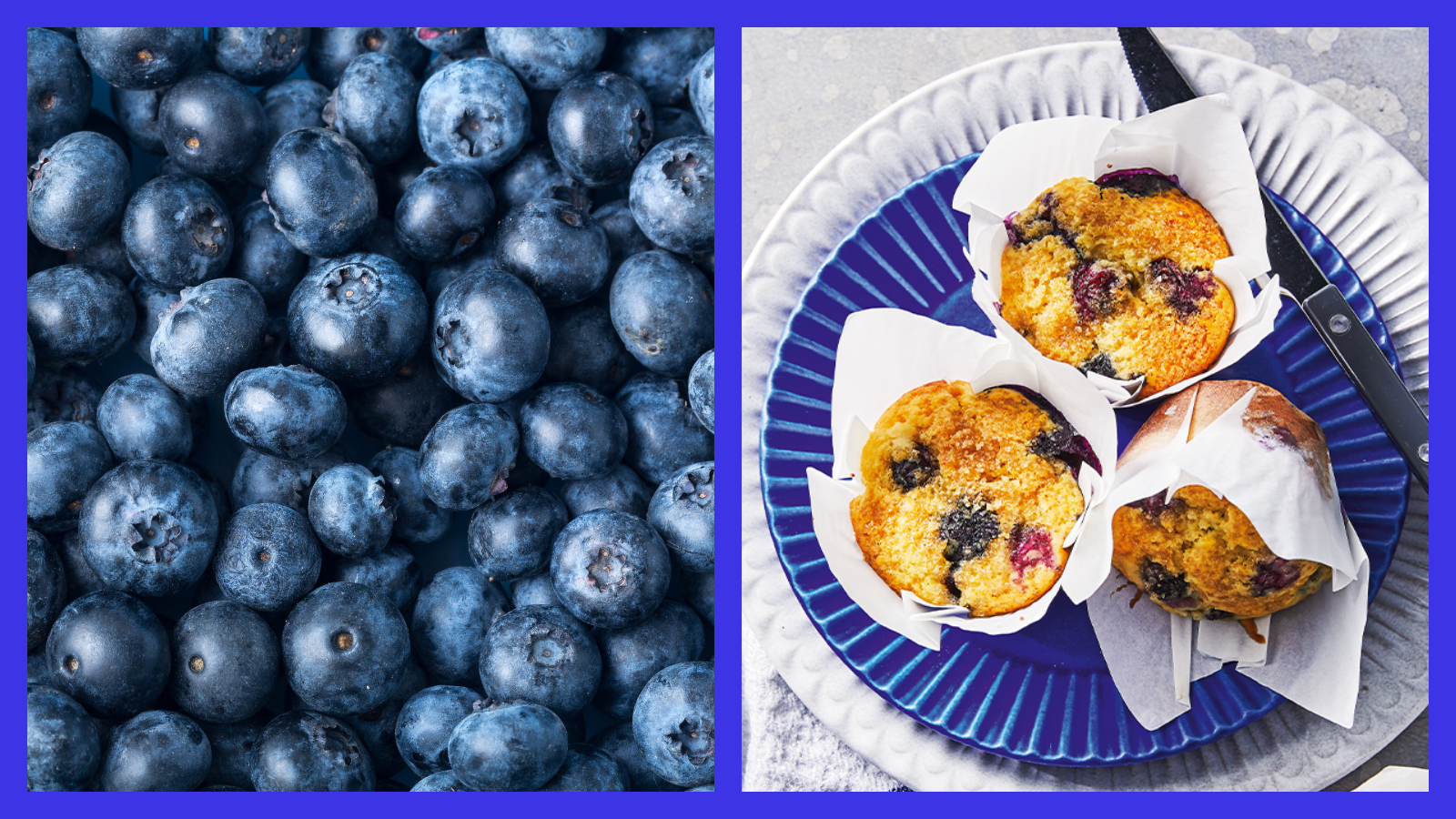 Close-up of fresh blueberries on the left and blueberry muffins on a blue plate on the right.