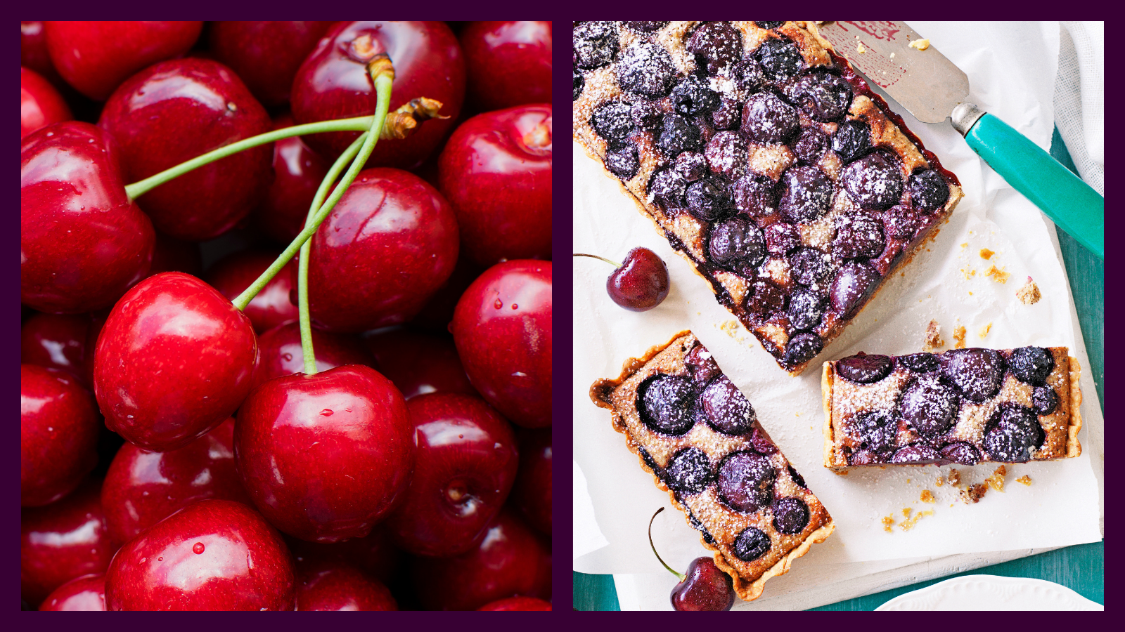 Close-up of fresh red cherries next to a sliced cherry hazelnut frangipane tart, dusted with icing sugar.