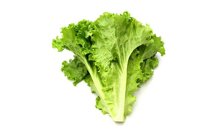 Lettuce