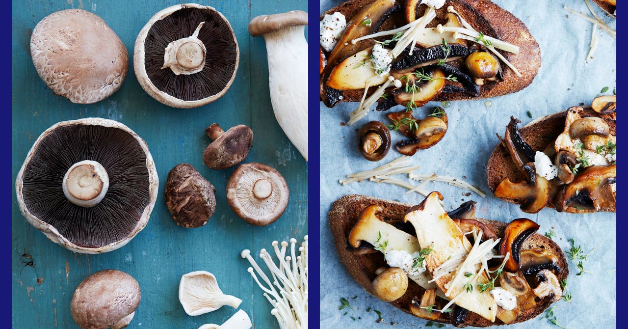 Mushroom recipes: Delicious and healthy dishes for every season