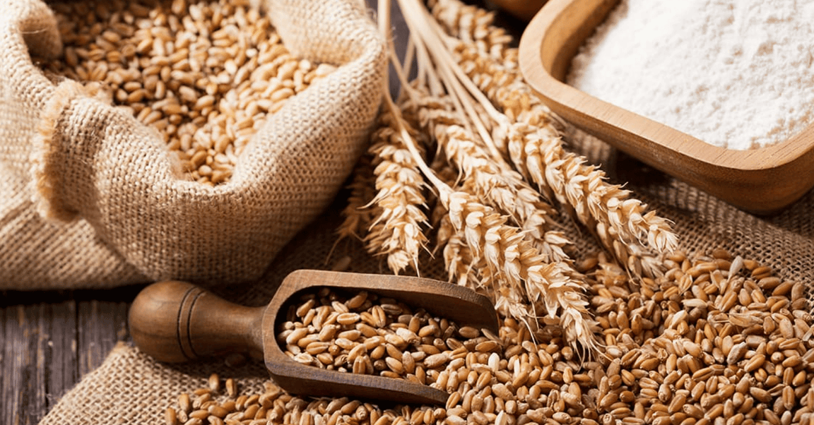 A hessian sack filled with wheat grains, a wooden scoop with grains, and wheat stalks next to a wooden bowl of flour on a wooden surface.