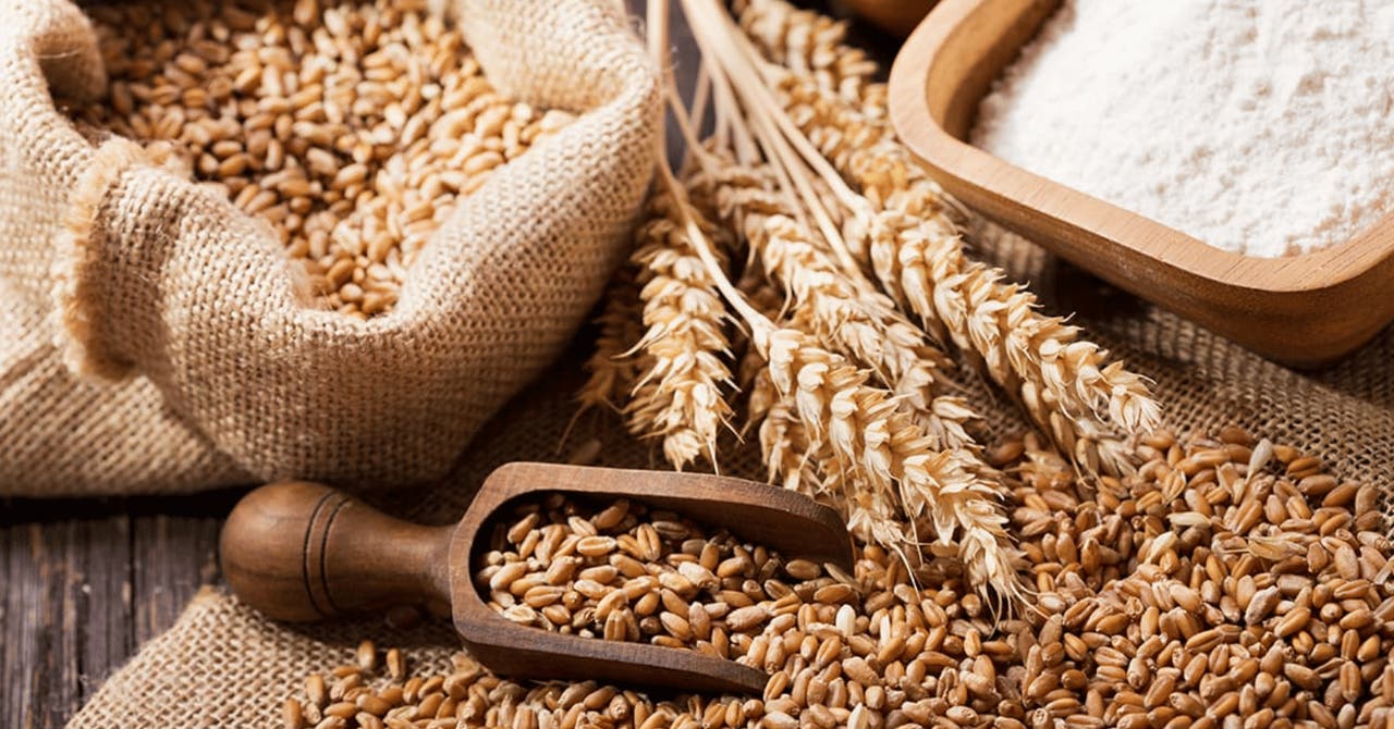 A hessian sack filled with wheat grains, a wooden scoop with grains, and wheat stalks next to a wooden bowl of flour on a wooden surface.