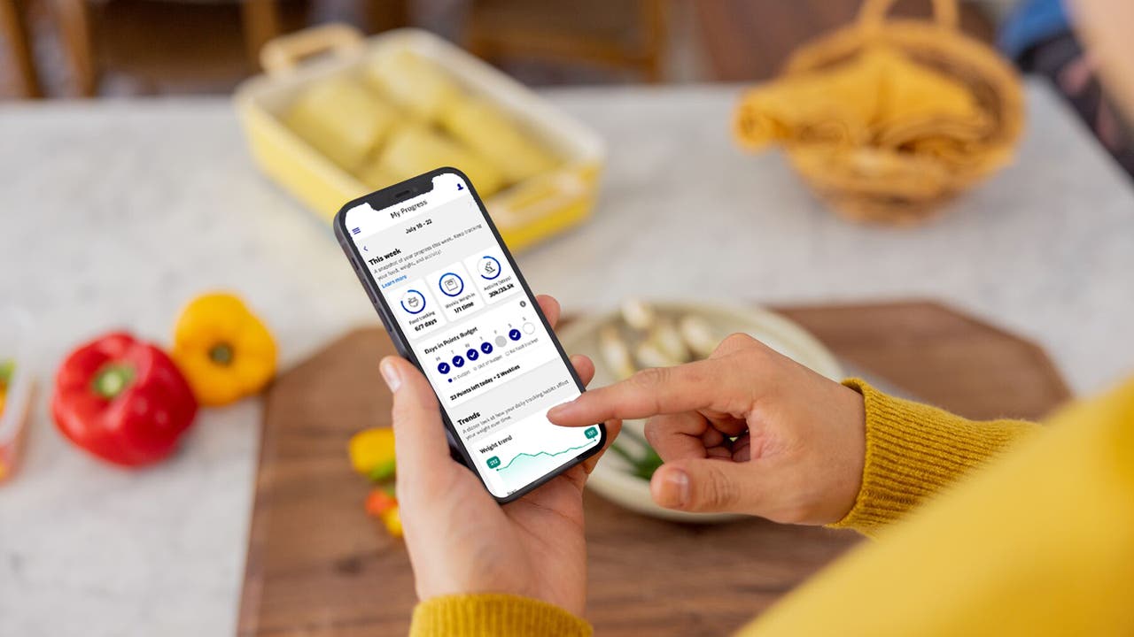 What are WeightWatchers blue dots?