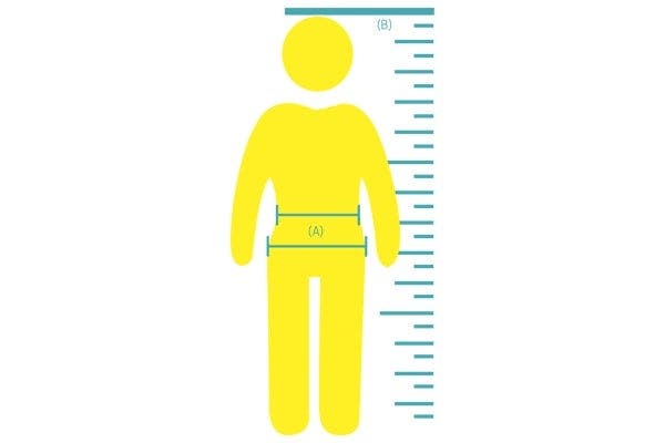 Waist-to-hip and waist-to-height ratio