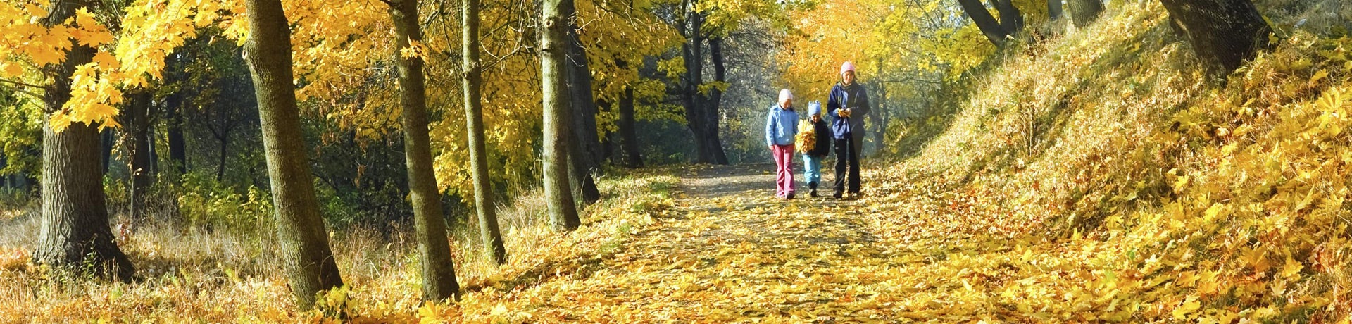 De natuur in, de onrust eruit