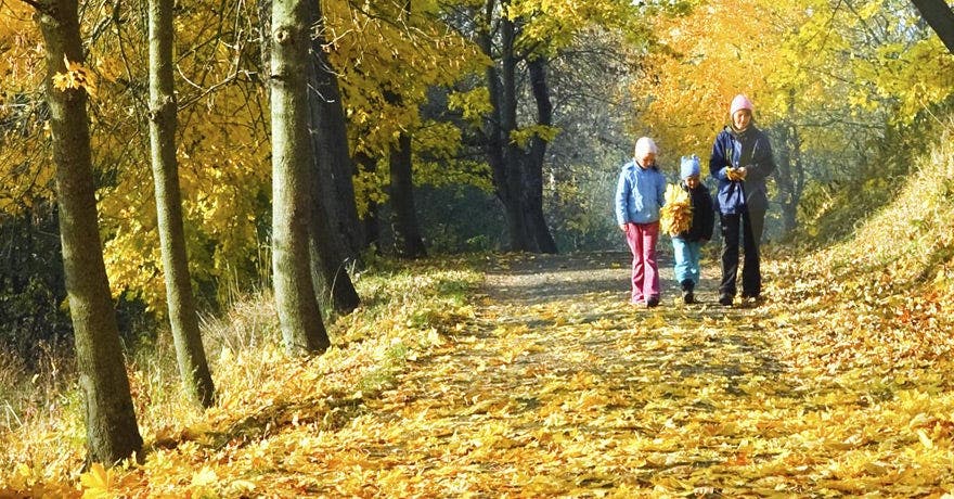Pas de stress dans la nature