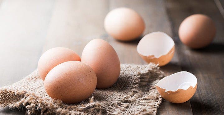 Aliments à ZeroPoint® : protéines
