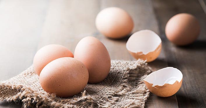 Aliments à ZeroPoint® : protéines
