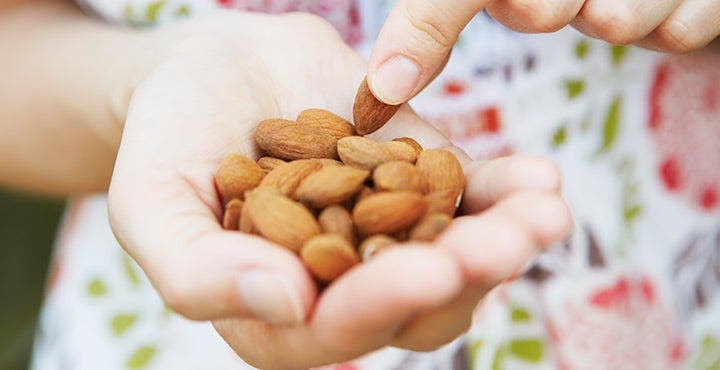 No Nuts, No Glory!