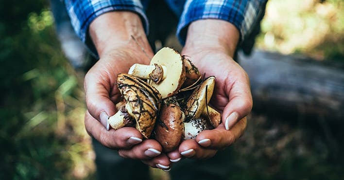 4 légumes typiques de l'automne à préparer vraiment !