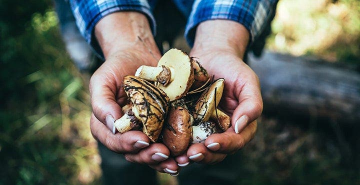4 légumes typiques de l'automne à préparer vraiment !