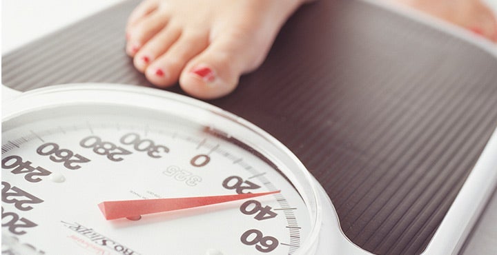 Stofwisseling: feit en fabel