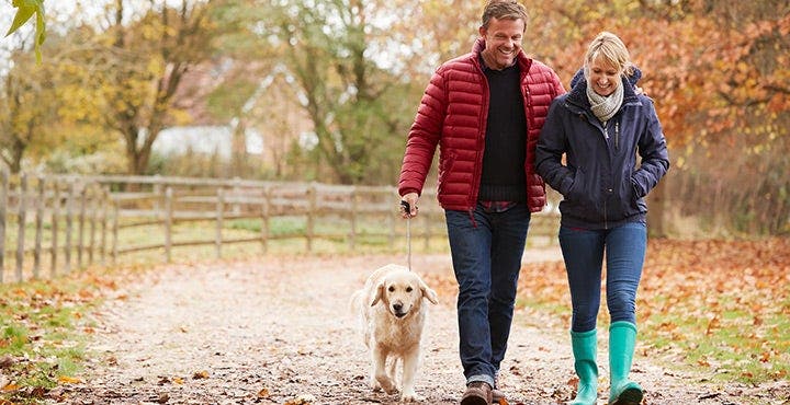 Wandelen in de herfst