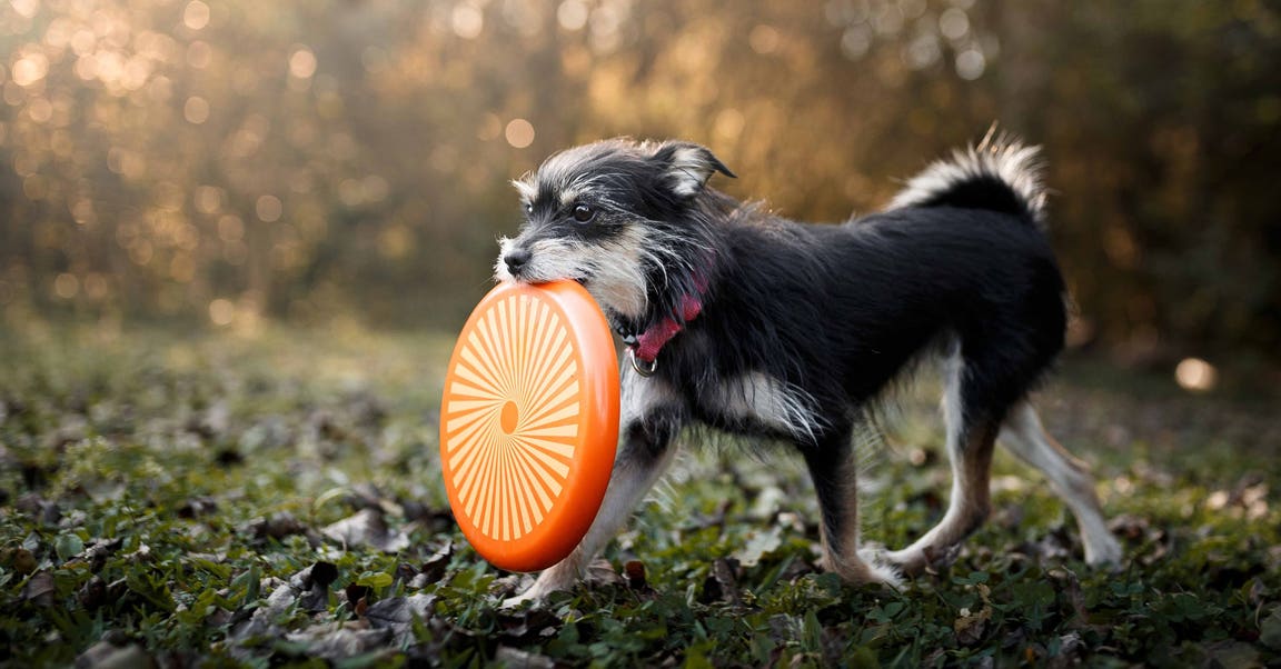 8 Fun Ways to Get Fit and Firm