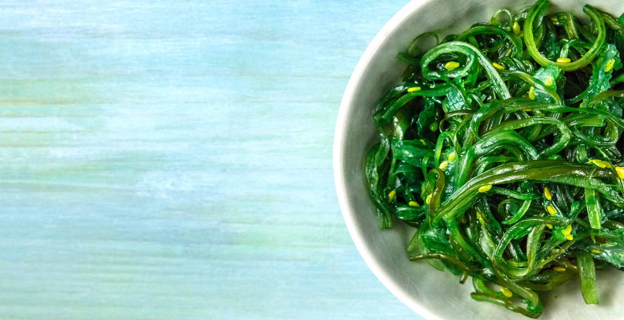 Edible algae