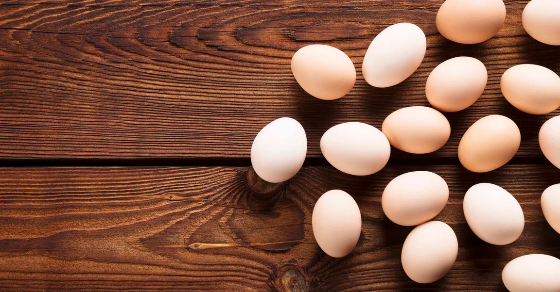 Focus on Eggs