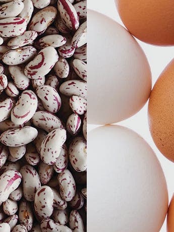 Weekly Focus: Protein Power!