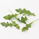 Baby Arugula Baby Arugula