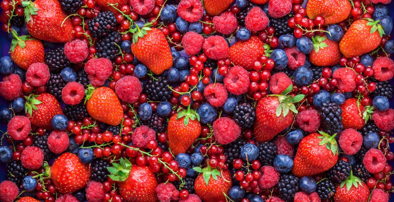 Tout savoir sur les petits fruits