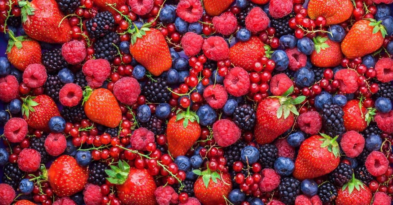 Tout savoir sur les petits fruits