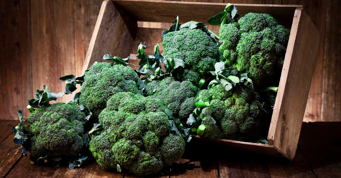 <strong>Get to Know Broccoli Better</strong>