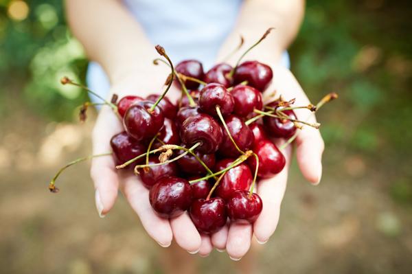 Cerises - Kelowna, C.-B.