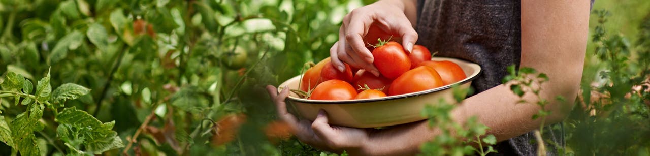 The Conscious Kitchen