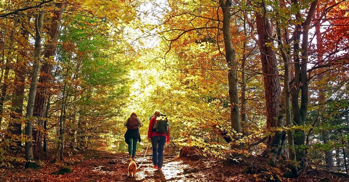 Cinq activités à faire durant l’automne pour toute la famille
