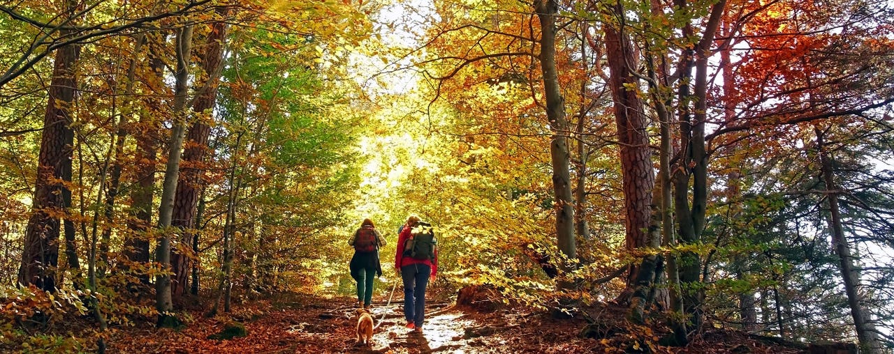 Cinq activités à faire durant l’automne pour toute la famille