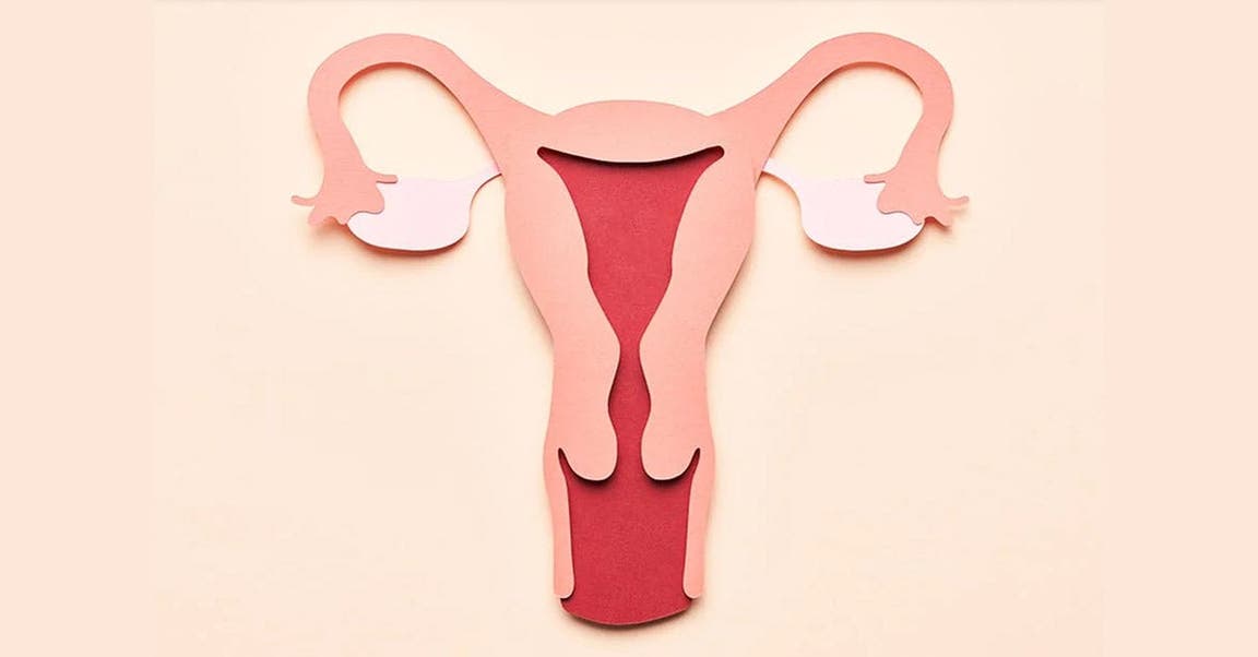 Que sont les fibromes utérins? Voici tout ce que vous devez savoir