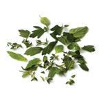 Fines herbes fraîches Fines herbes fraîches