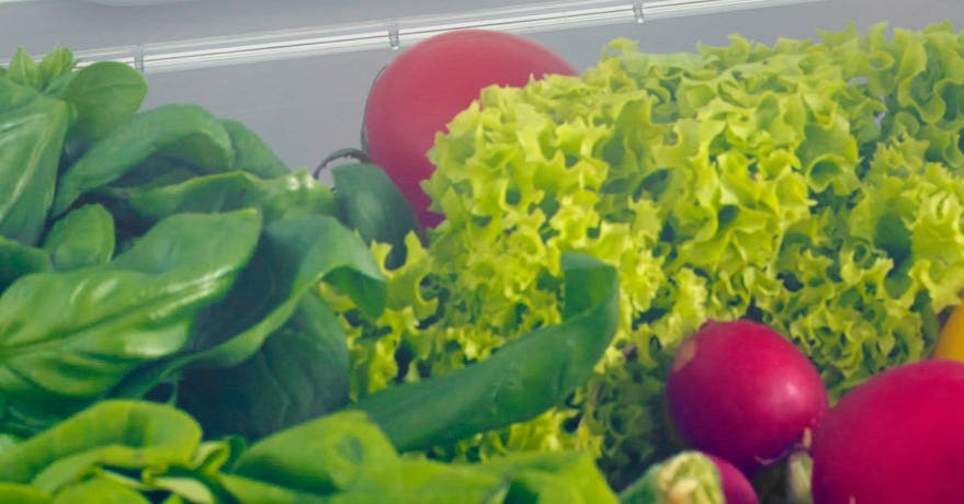 Un frigo fructueux