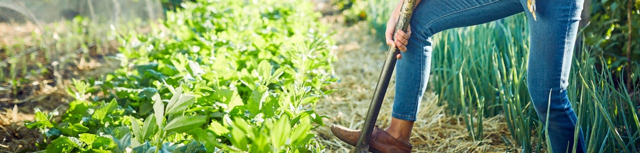 Get a Garden Workout