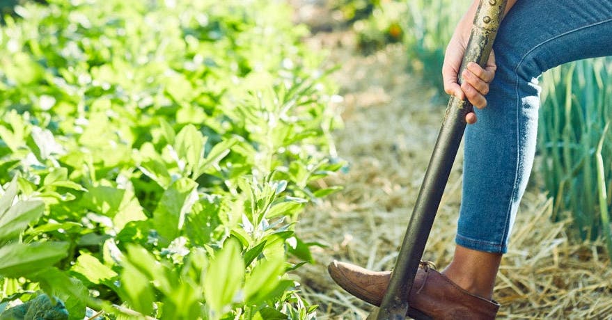 Get a Garden Workout