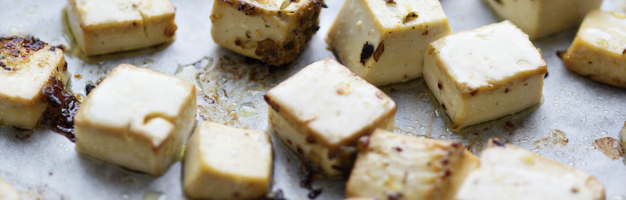Gros plan sur le tofu