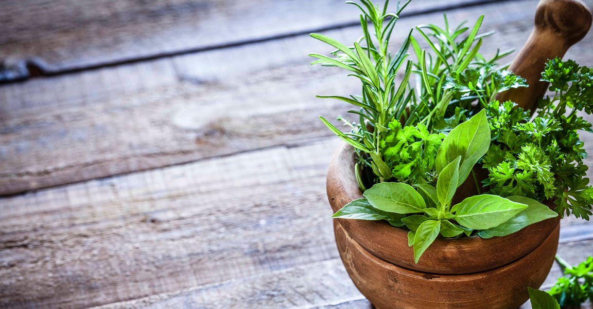 Fines herbes saines