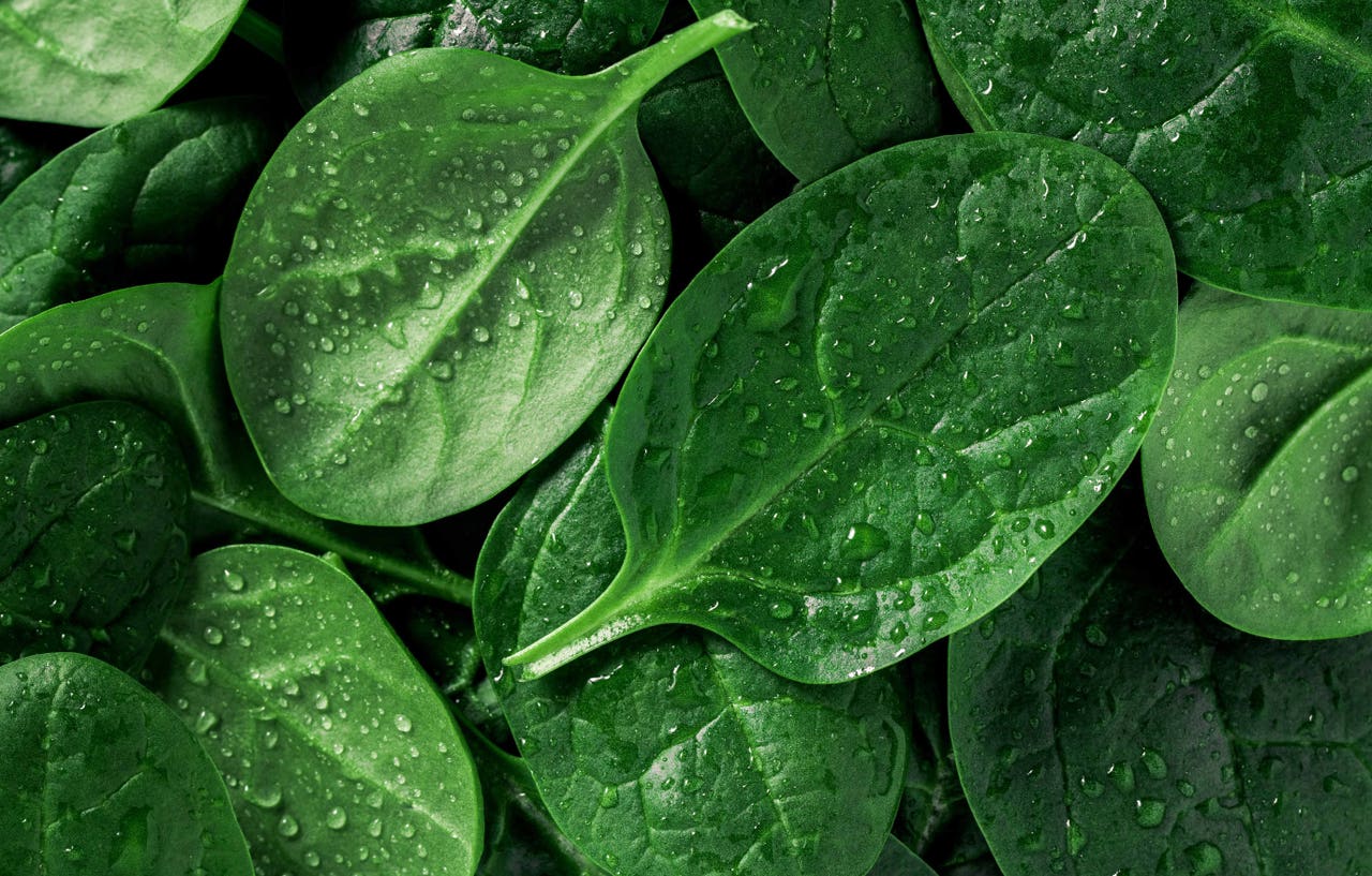 All about iron and why we need it in our diet