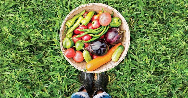 Mangez vos légumes (et vos fruits)!