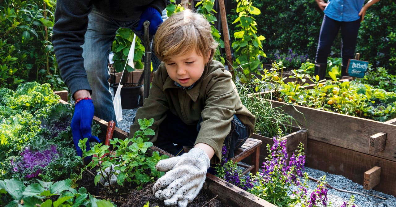 Huit activités à faire avec vos enfants cet été