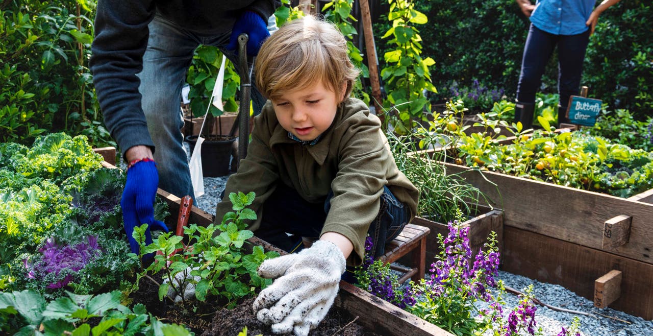 8 things to do with your kids this summer