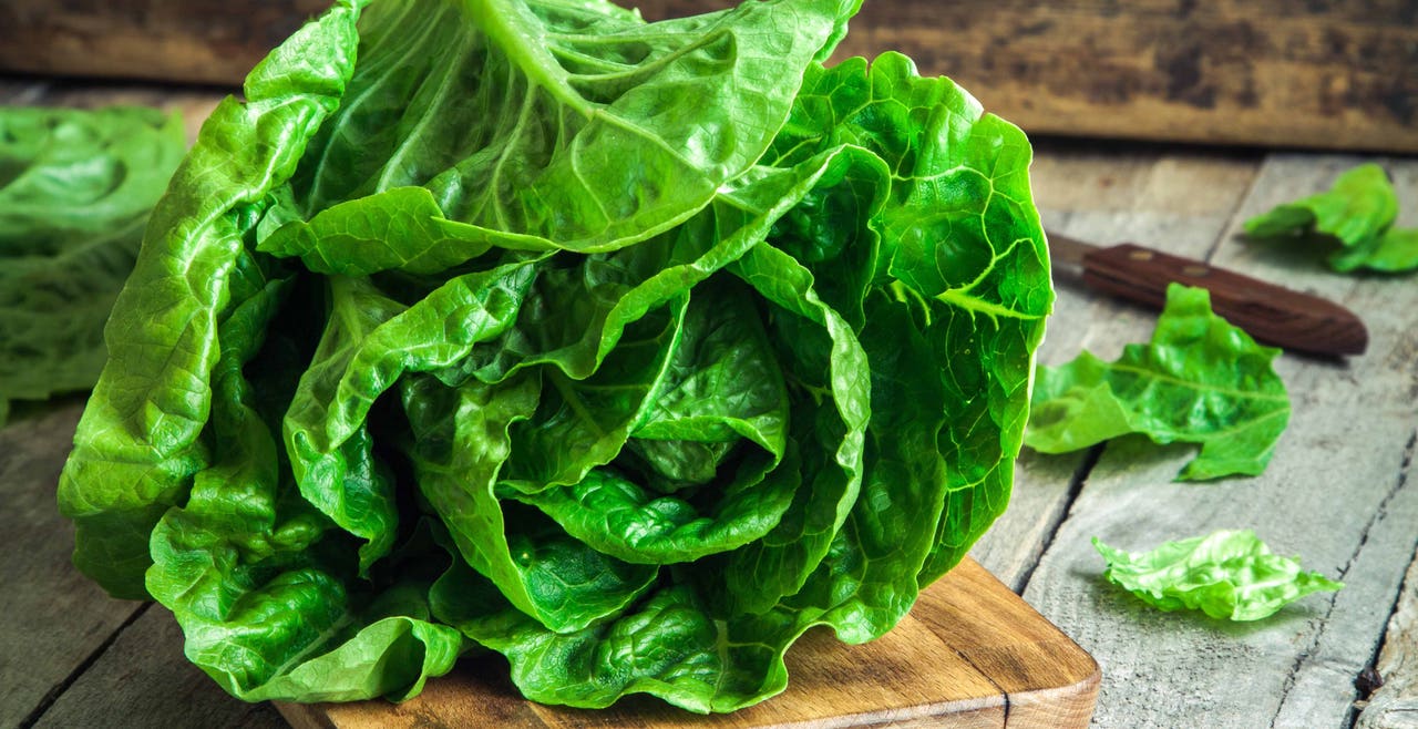 Looking at Lettuce