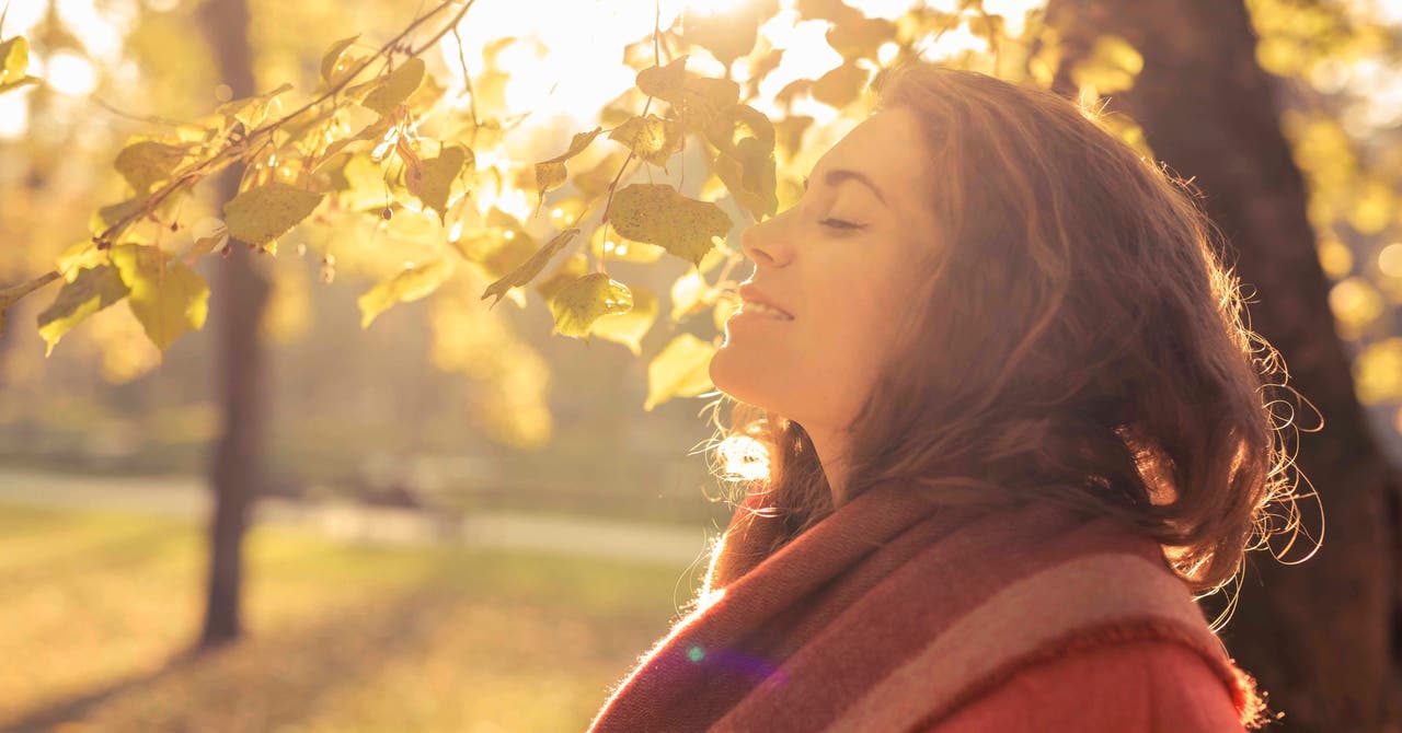 Create Healthy Habits With Mantra Power