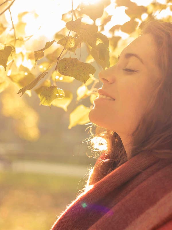 Create Healthy Habits With Mantra Power