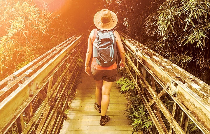 Explore the wonders of nature