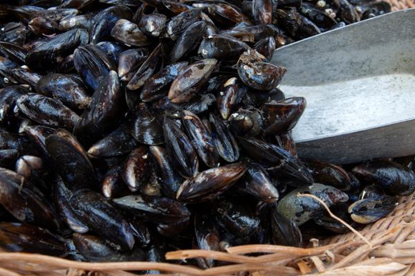  Fruits de mer - Charlottetown, Î.-P.-É.