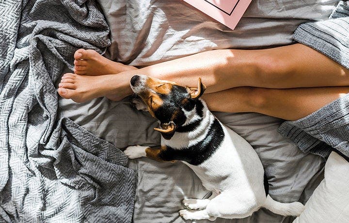Passez une bonne nuit