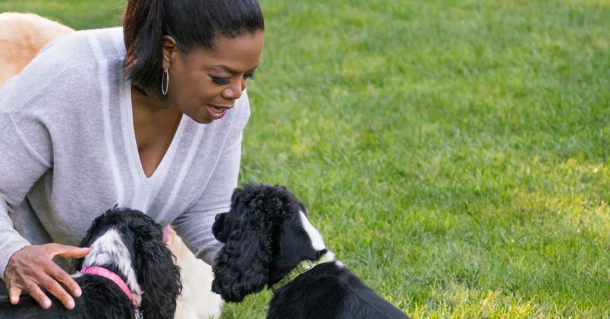 Live a Fantastic and Full Life