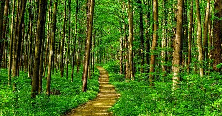 Trouvez votre chemin