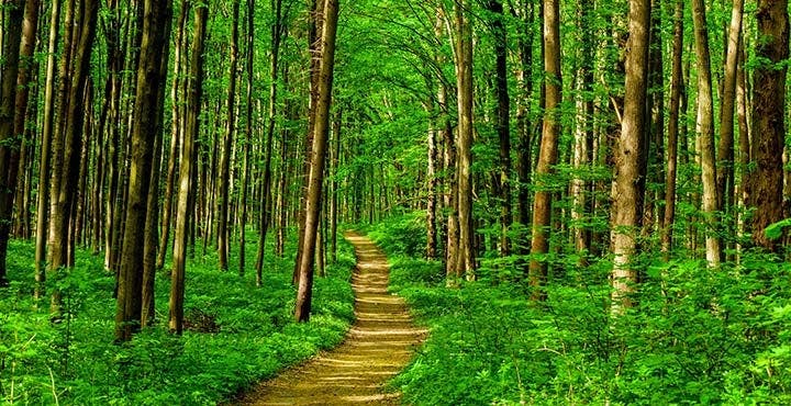 Trouvez votre chemin