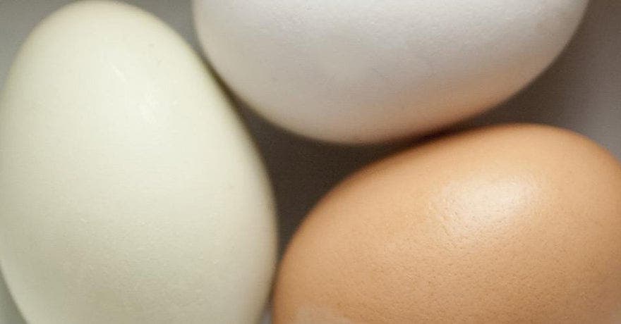 How to Cook the Perfect Egg
